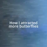 How I attracted more butterflies