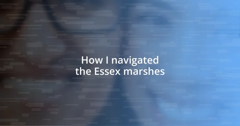 How I navigated the Essex marshes