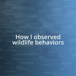 How I observed wildlife behaviors