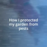 How I protected my garden from pests