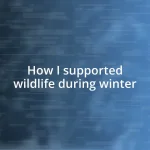 How I supported wildlife during winter