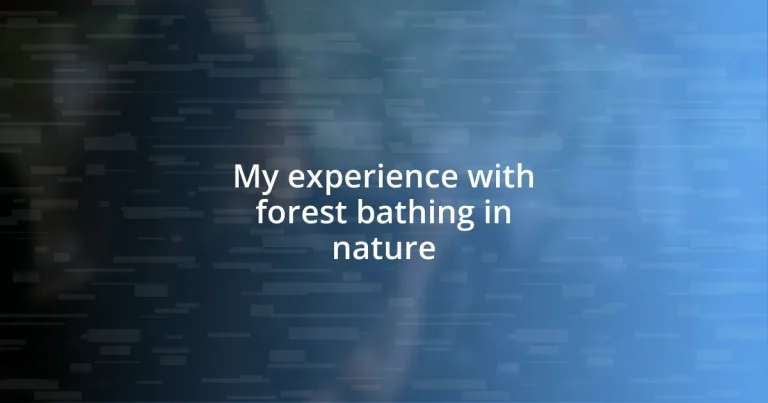 My experience with forest bathing in nature