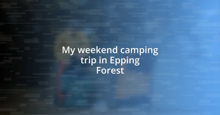 My weekend camping trip in Epping Forest