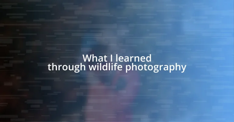 What I learned through wildlife photography