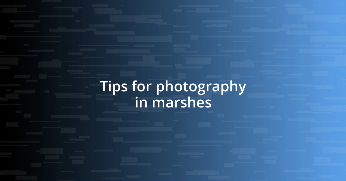 Tips for photography in marshes