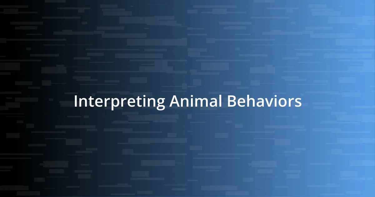 Interpreting Animal Behaviors