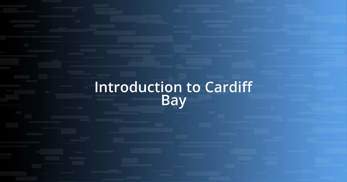 Introduction to Cardiff Bay