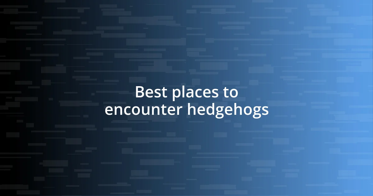 Best places to encounter hedgehogs