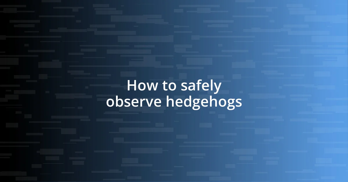 How to safely observe hedgehogs