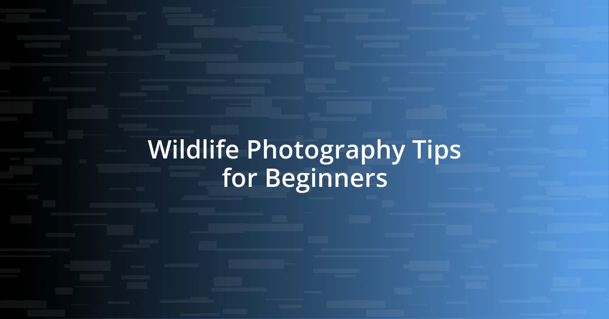 Wildlife Photography Tips for Beginners