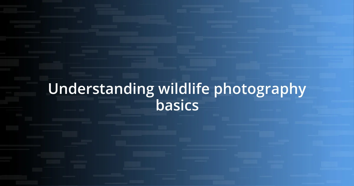 Understanding wildlife photography basics