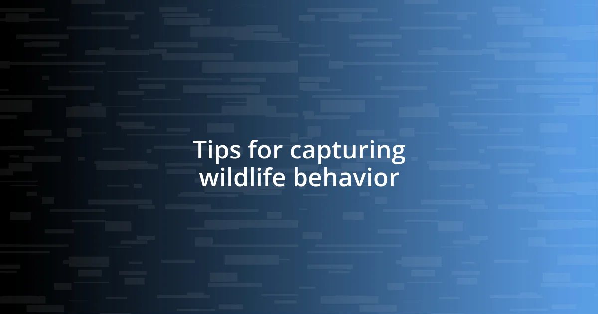 Tips for capturing wildlife behavior