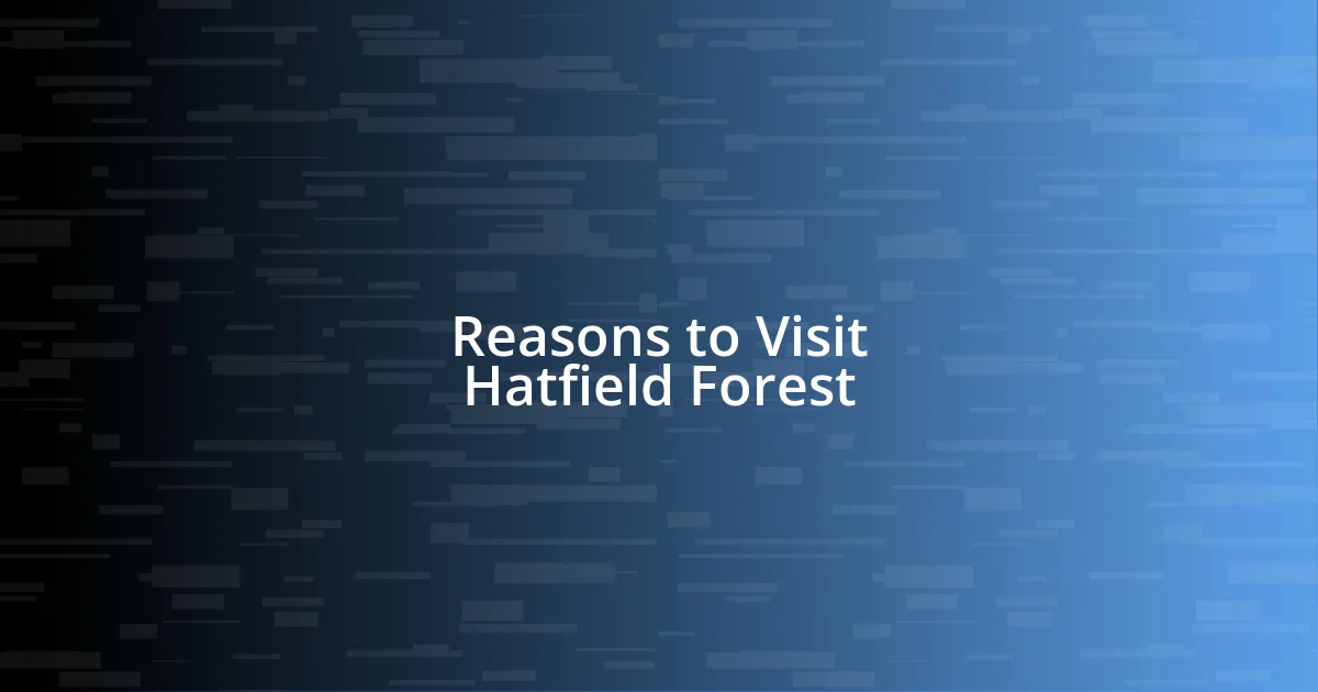 Reasons to Visit Hatfield Forest