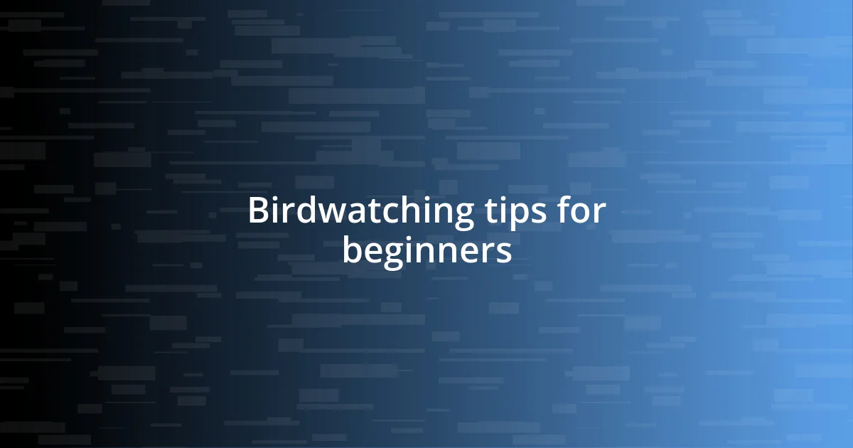 Birdwatching tips for beginners